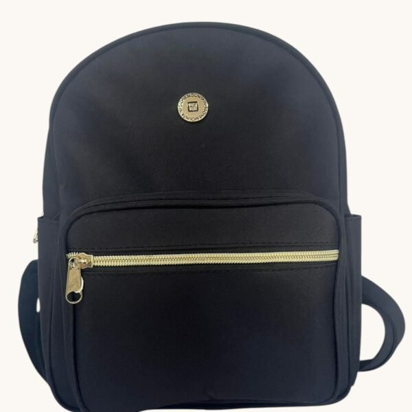 Stone Mountain Backpack Mini Dome Black Gold Hardware