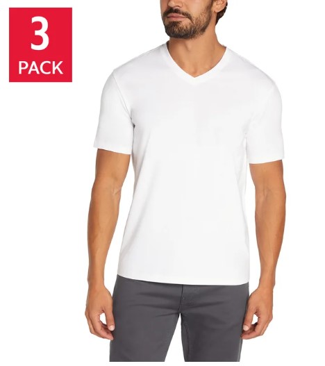 Banana Republic Men's V-Neck Tee, 3-pack Item #2018 - Image 8