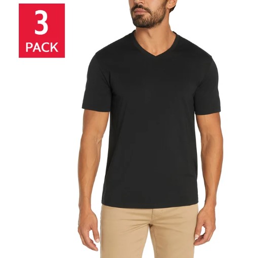 Banana Republic Men's V-Neck Tee, 3-pack Item #2018 - Image 2